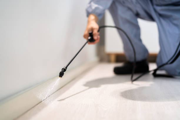 Licensed Pest Control service in Louisiana, LA - Show Me Pest Control