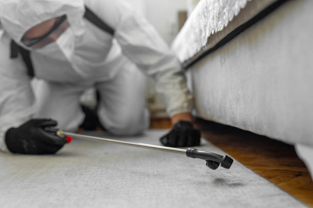 Professional Pest Control technician working in Louisiana, LA