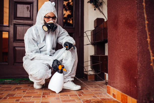Reliable Pest Control contractor in Louisiana, LA by Show Me Pest Control